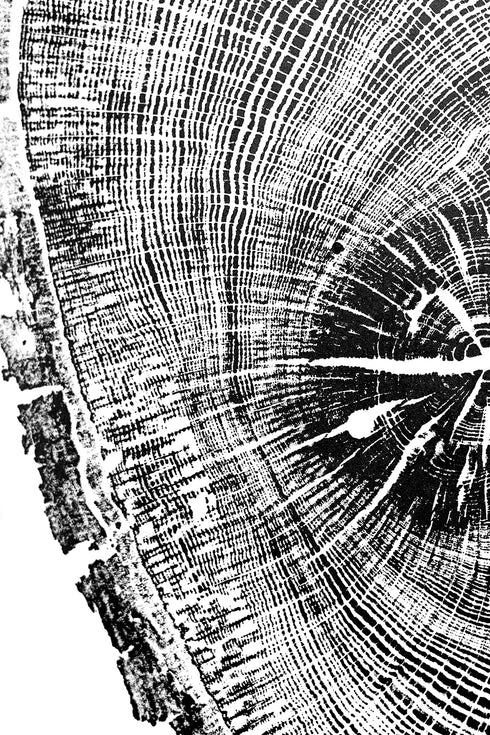 "Oak 122" Tree Print - Woodcut Print